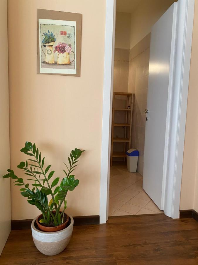 Bed and Breakfast Sogni e Colori Villanova d'Albenga Esterno foto